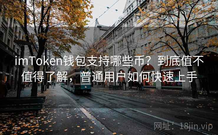 imToken钱包支持哪些币？到底值不值得了解，普通用户如何快速上手